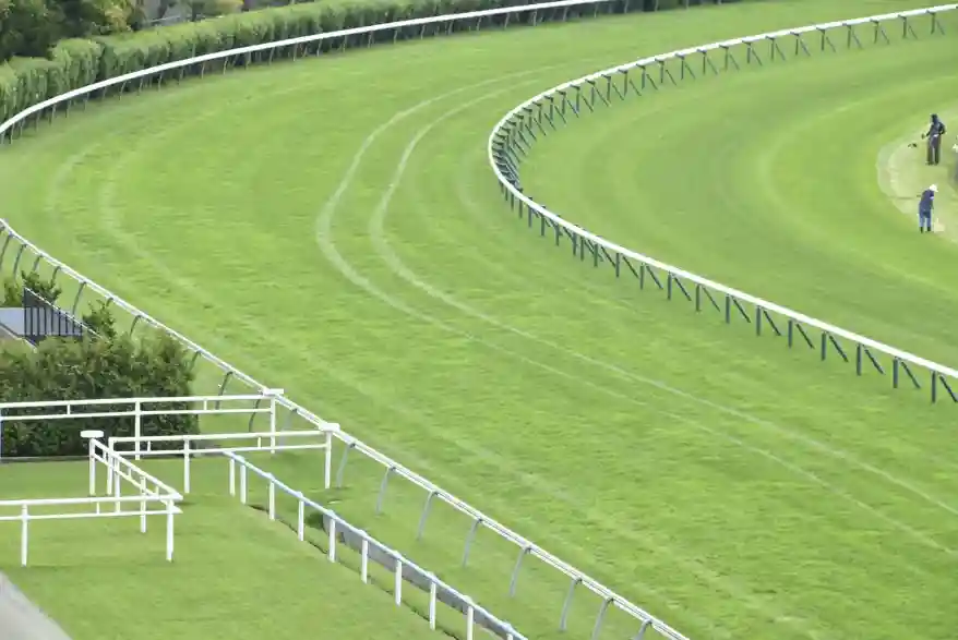 芝を荒らされた函館競馬場